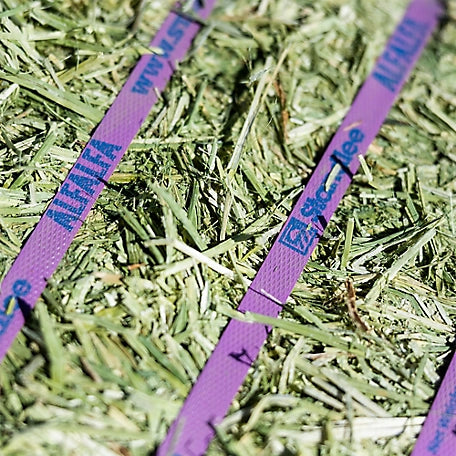 Alfalfa Compressed Bale, 50lbs