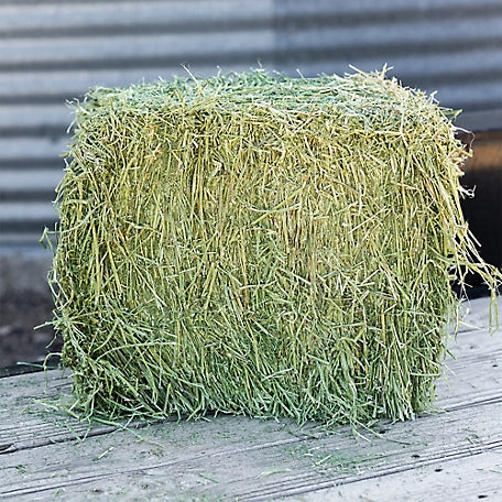 Alfalfa Compressed Bale, 50lbs
