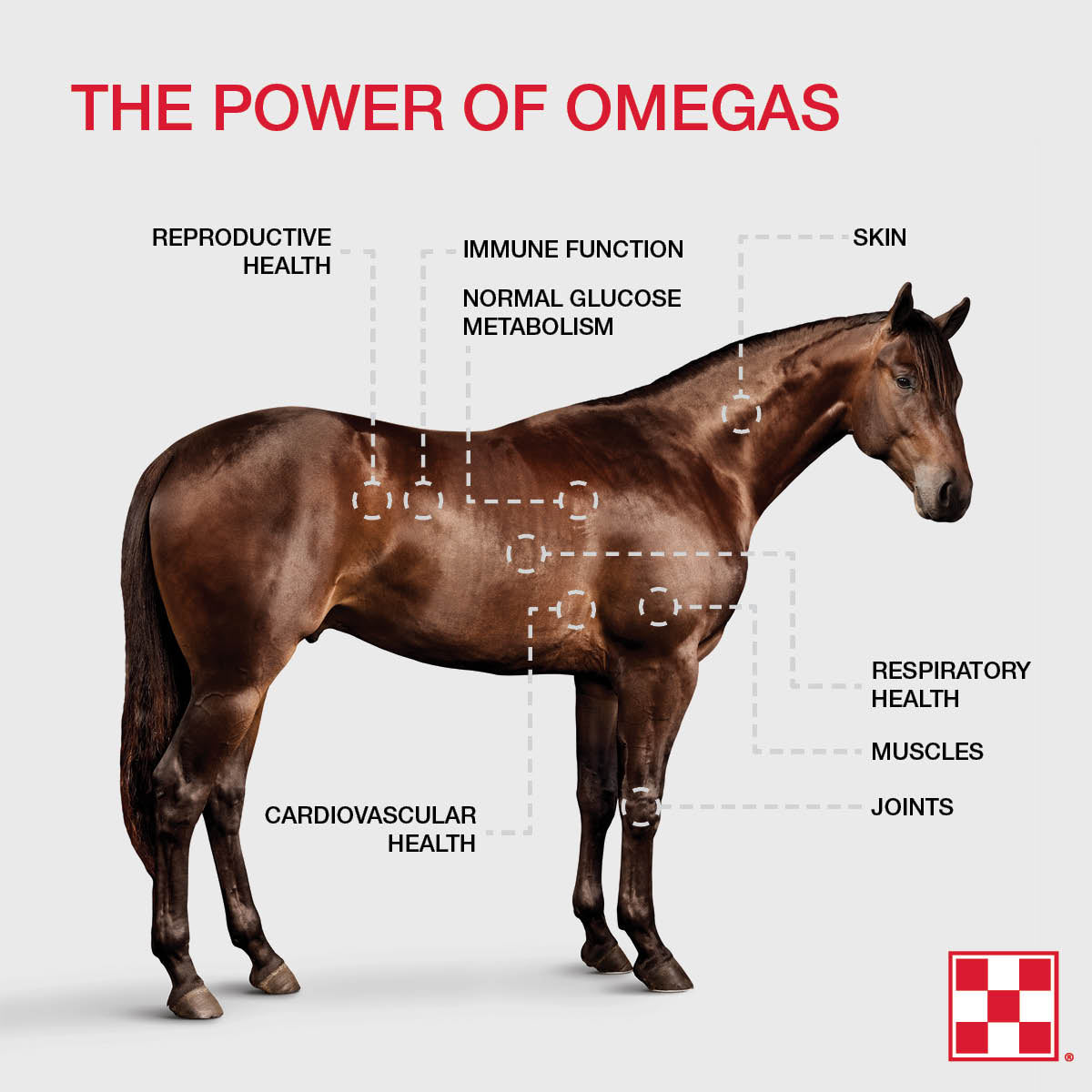 Purina Omega Match Ahiflower Oil 35YP