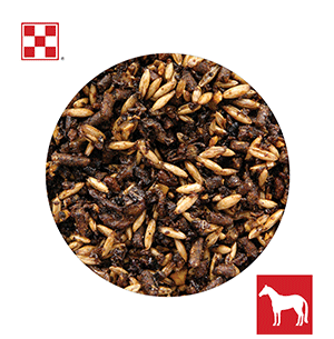 Purina Race Ready Horse Feed 3H14 - 50lb