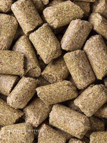 Mazuri Zebra Pellets 5662 - 50lb