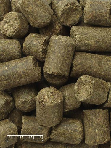 Mazuri Grain Free Hay Enhancer for Elephant & White Rhino 561U - 50lb