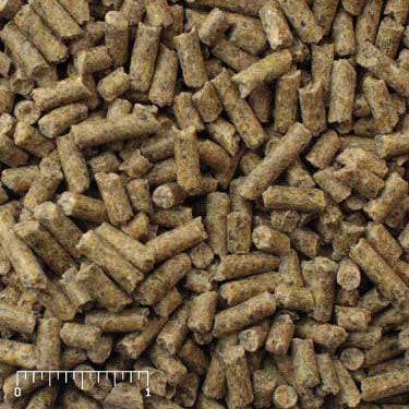 Mazuri Ratite Breeder 5M31 - 50lb