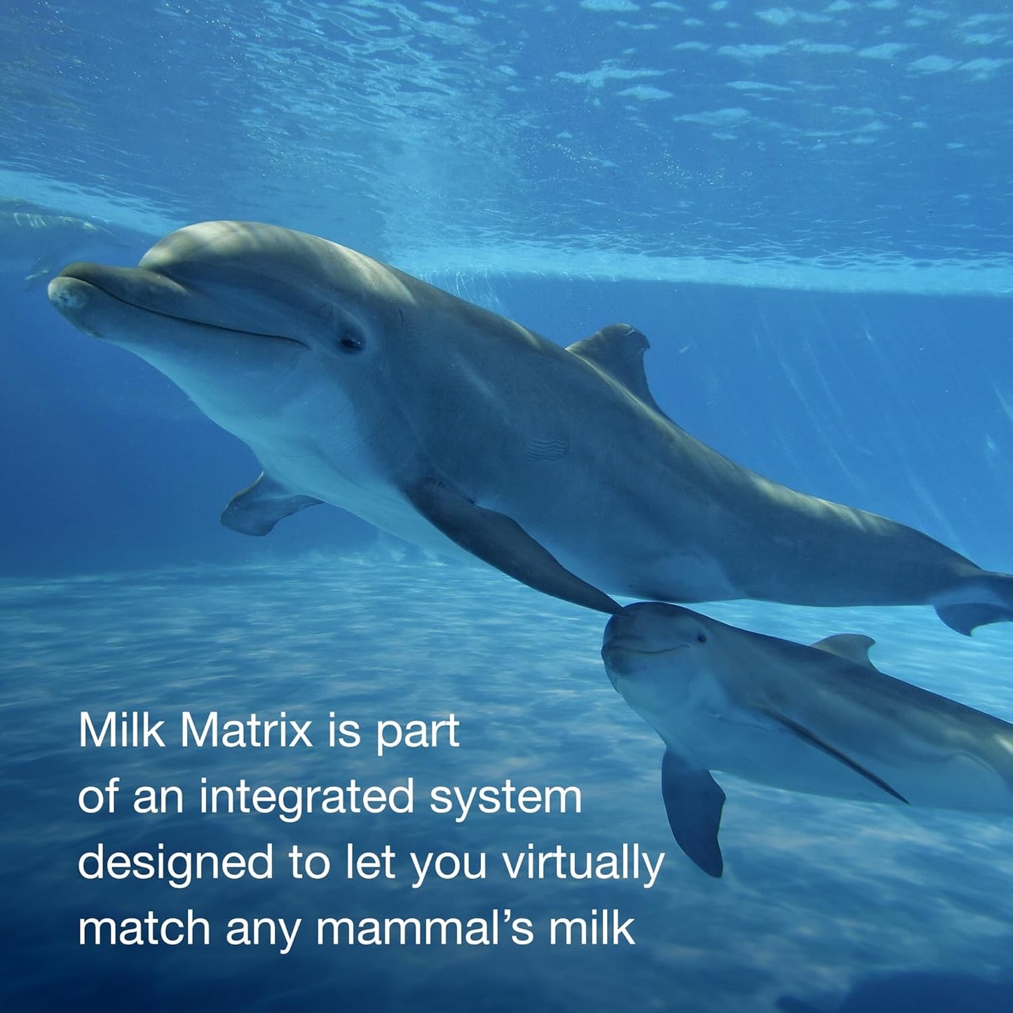 Zoologic® Milk Matrix 33/40, 5lb