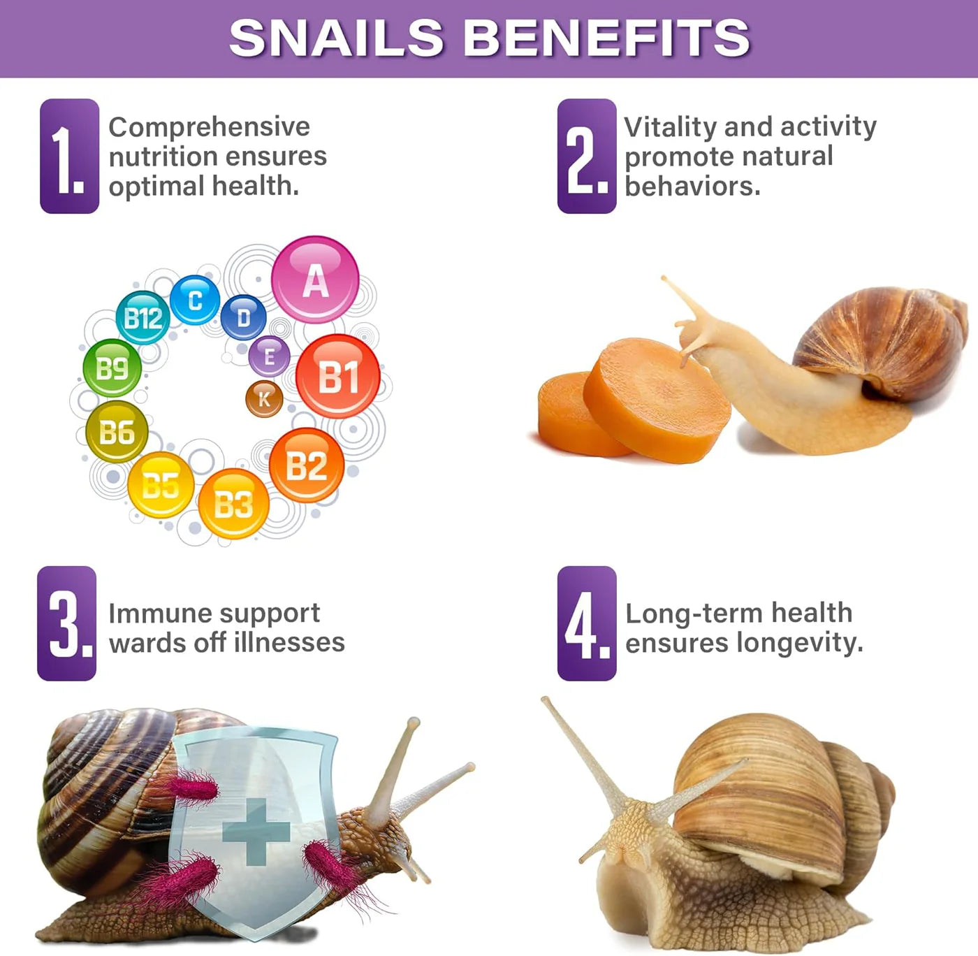 Gargeer Land Snail Veggie Complete Diet - 2oz