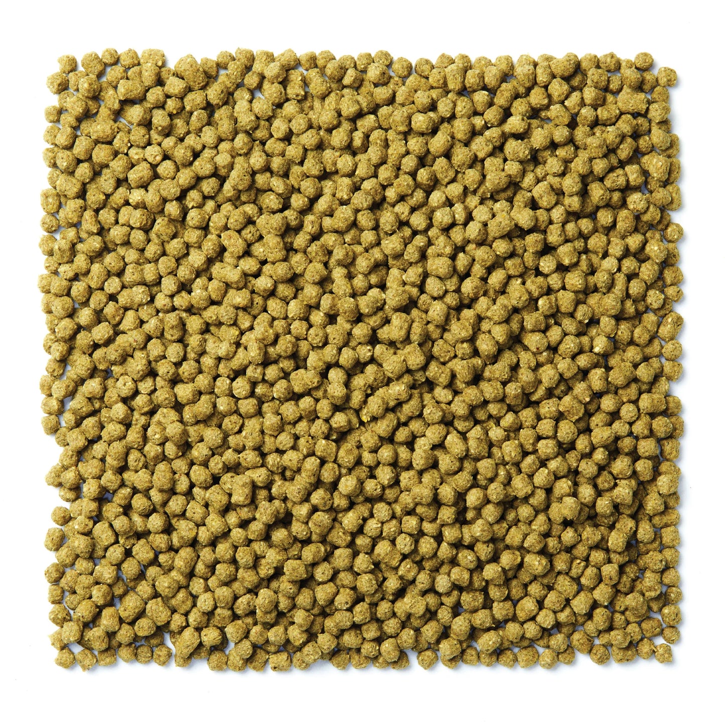 Mazuri NutriBlend Green Pigeon Diet 564X - 50lb