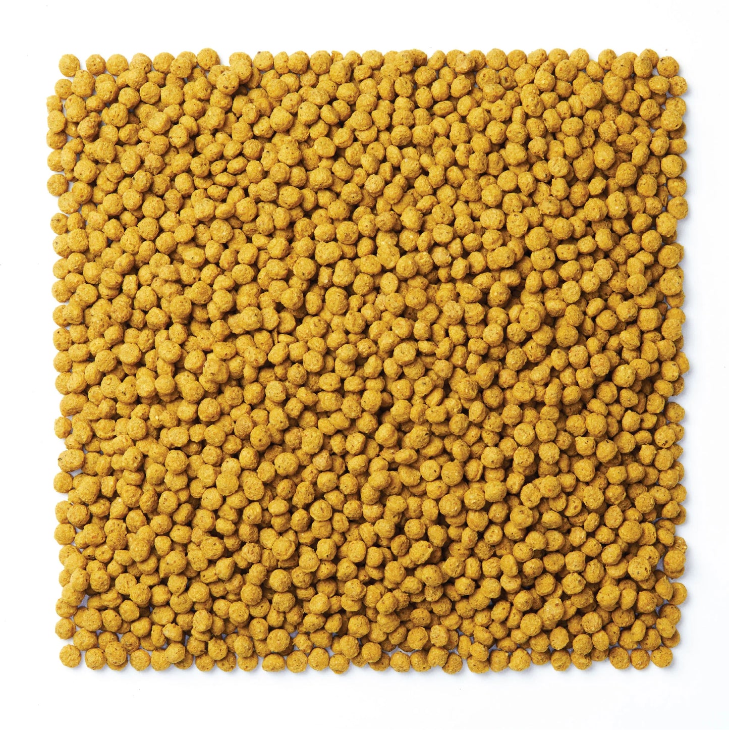 Mazuri NutriBlend Gold Pigeon Diet 564Y - 50lb