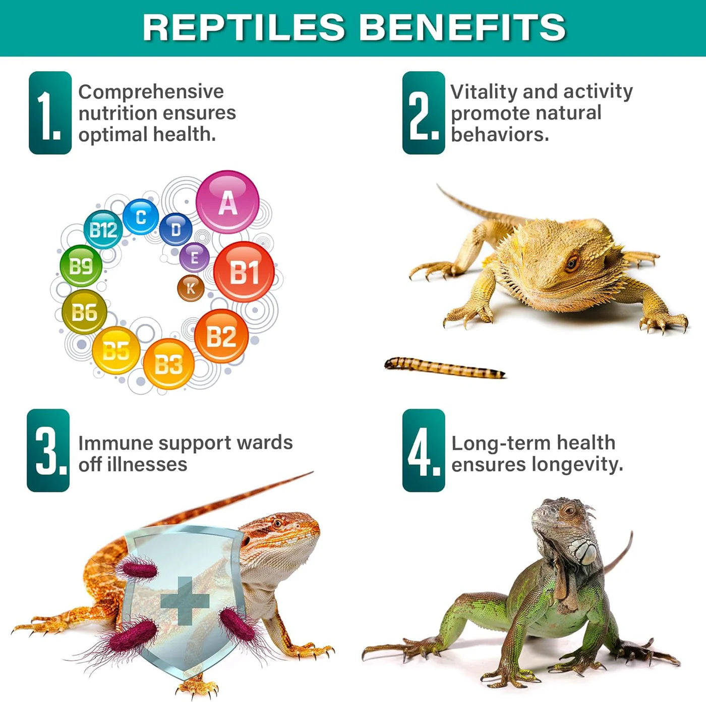 Gargeer All Reptile Multi-Vitamin With Fruit - 4oz