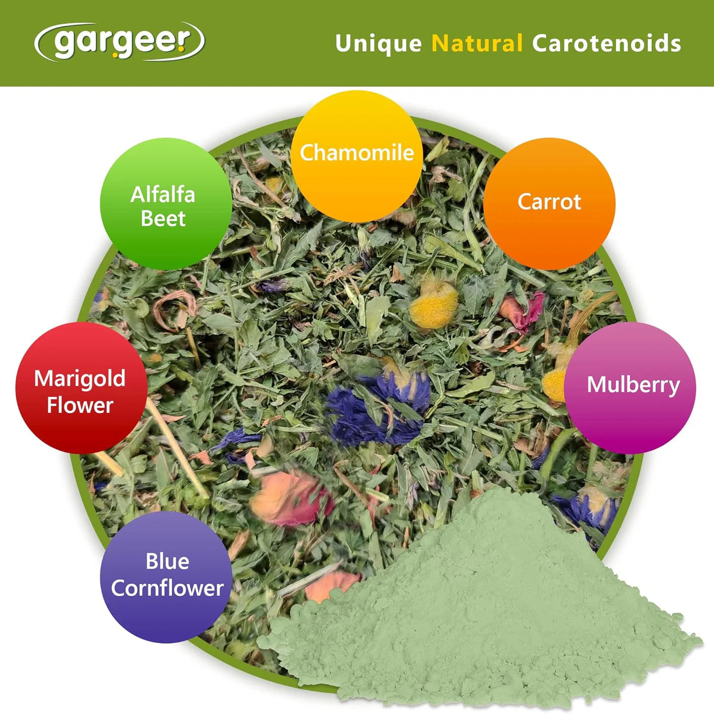Gargeer All Reptiles Color Enhancer - 2oz