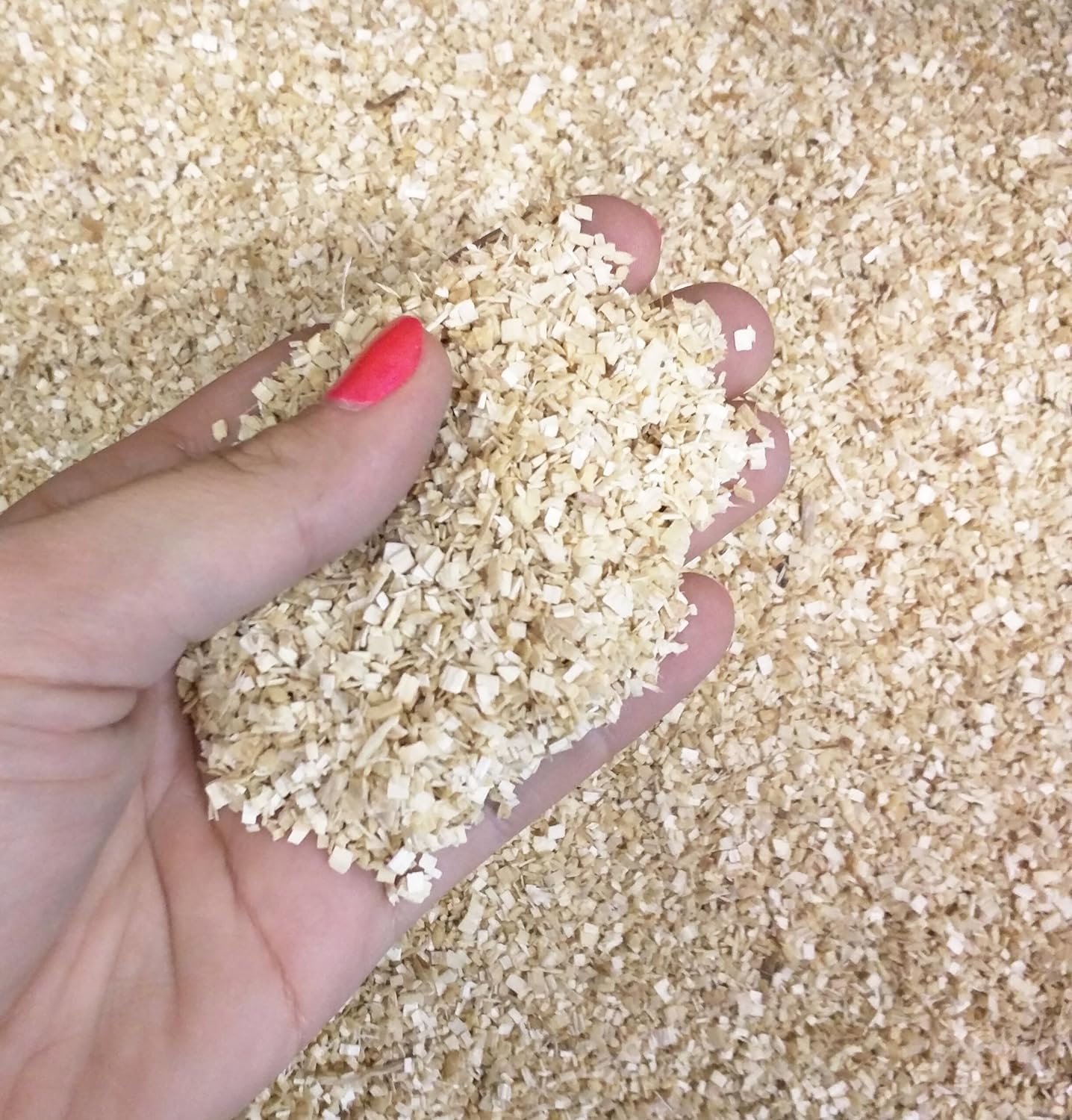 P.J. Murphy Sani-Chips - 20lb