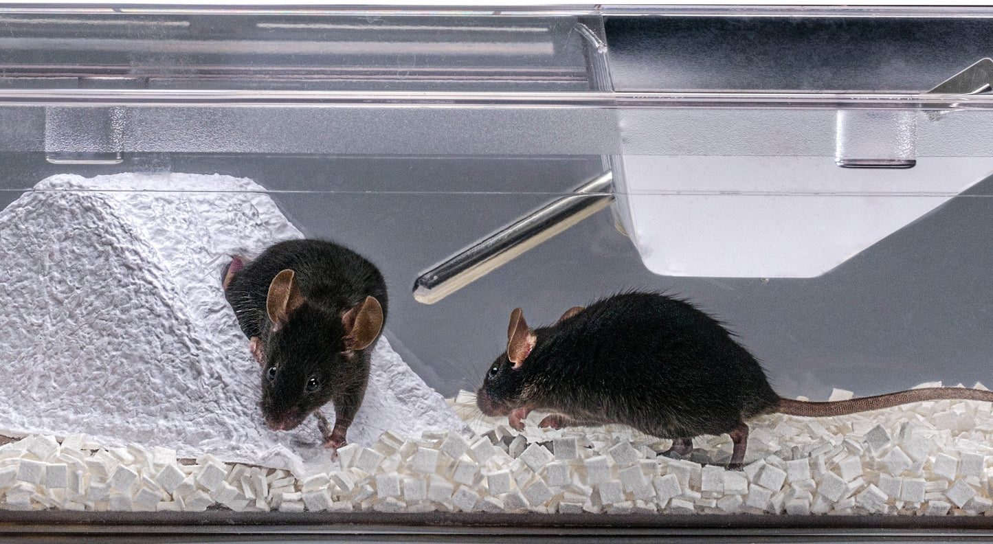 Shepherd Shacks - Full Shack - 540 Per Case