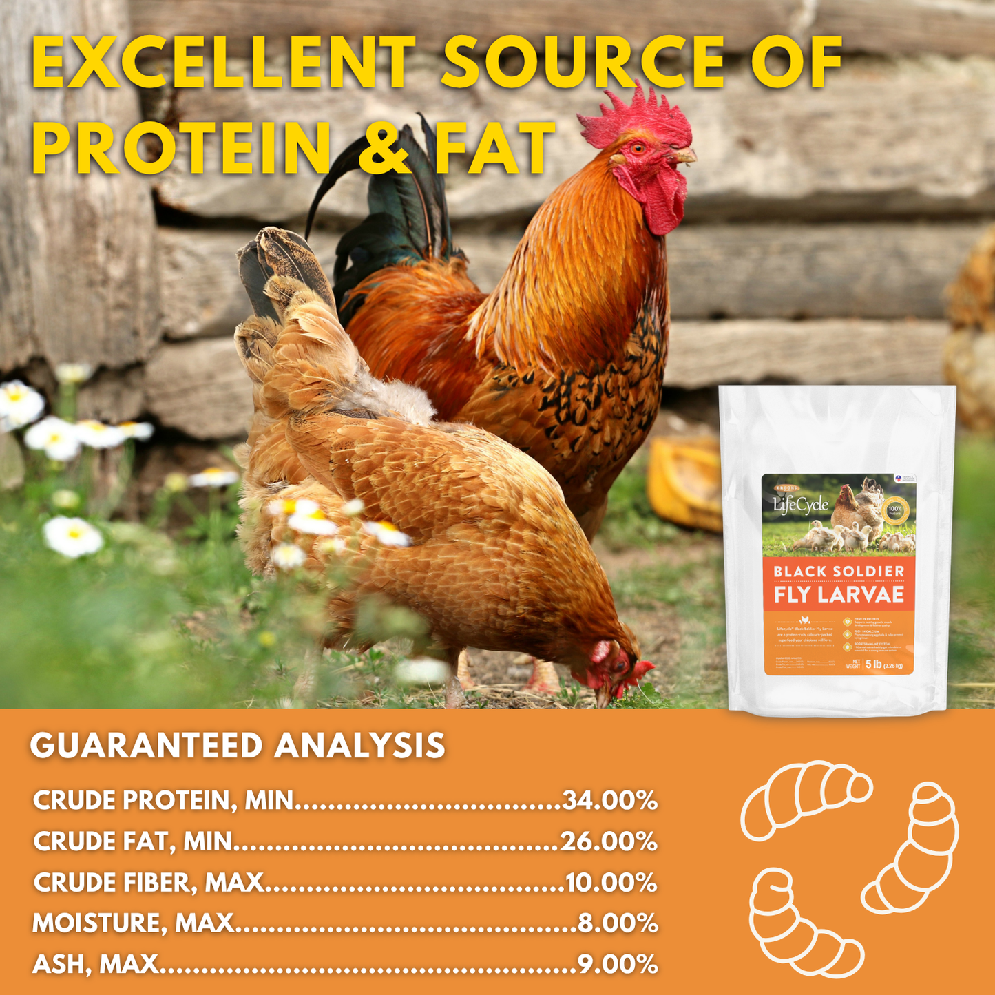 Brooks Brand BSFL for Chickens - 5lb