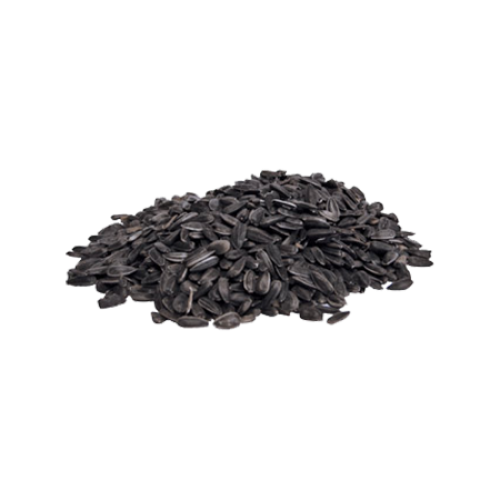 Black Oil Sunflower Seeds - Sterile - 10 kg