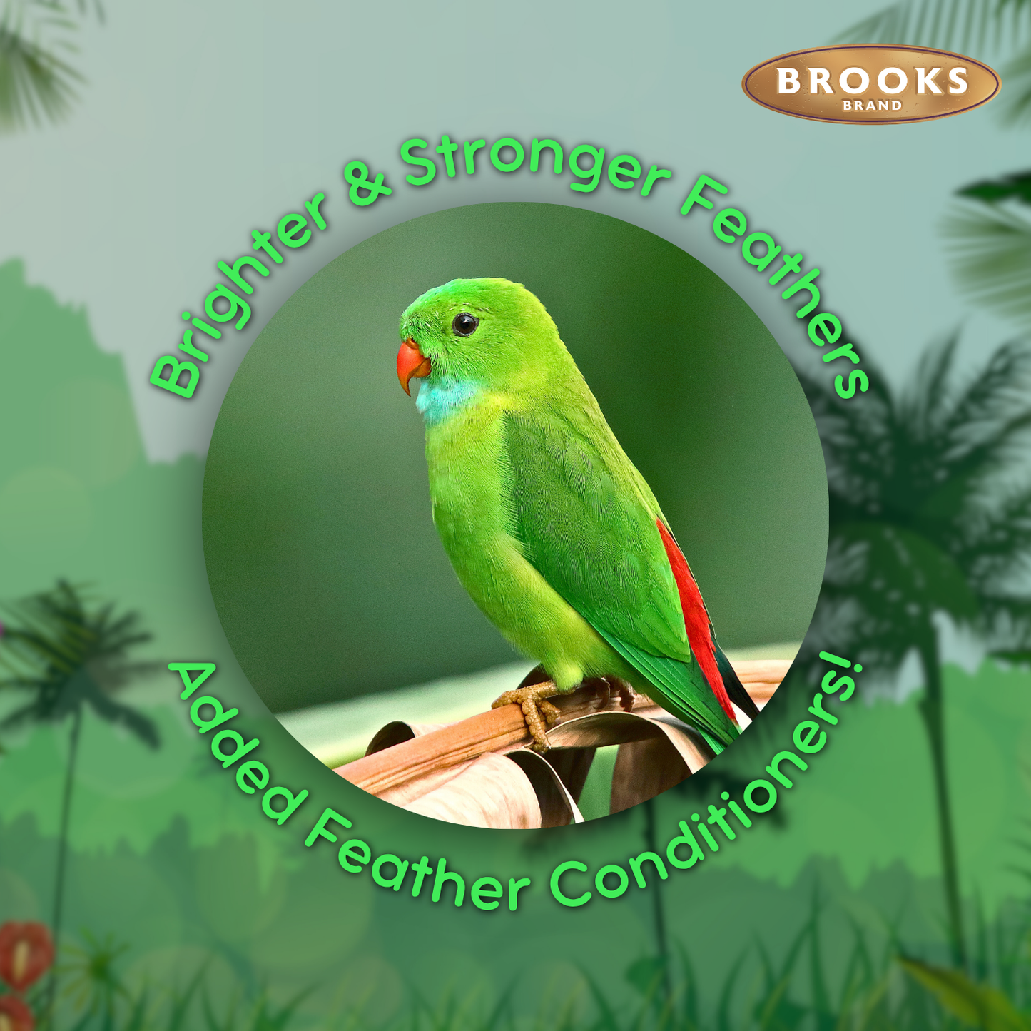 Colorful Companions Parakeet Blend - 25lb