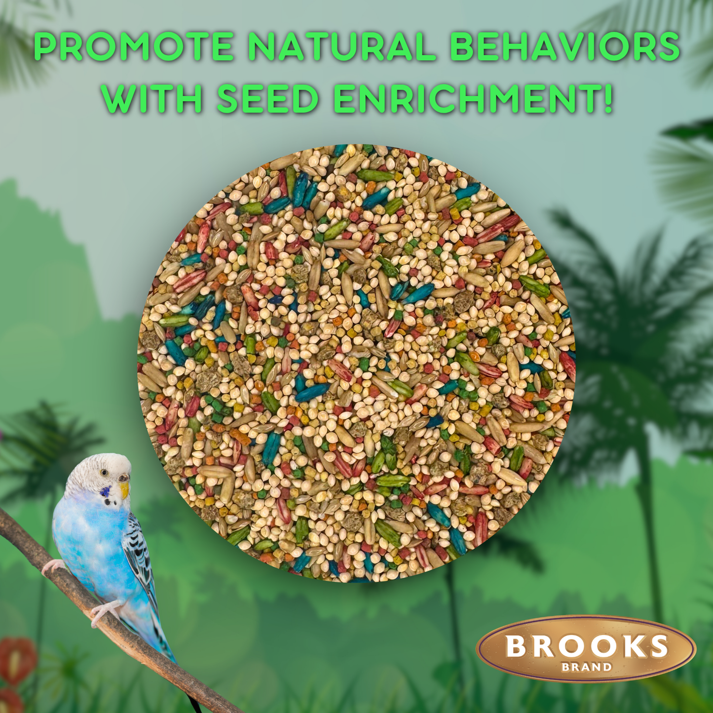Colorful Companions Parakeet Blend - 25lb