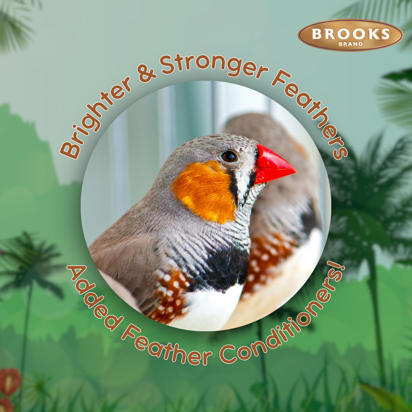 Colorful Companions Finch Blend - 25lb