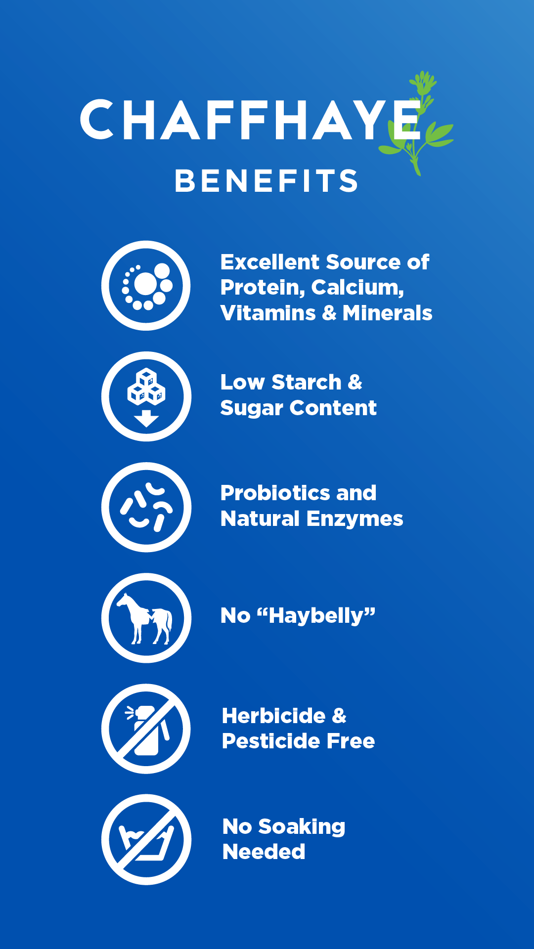 Chaffhaye Premium Cultured Alfalfa - 27 oz