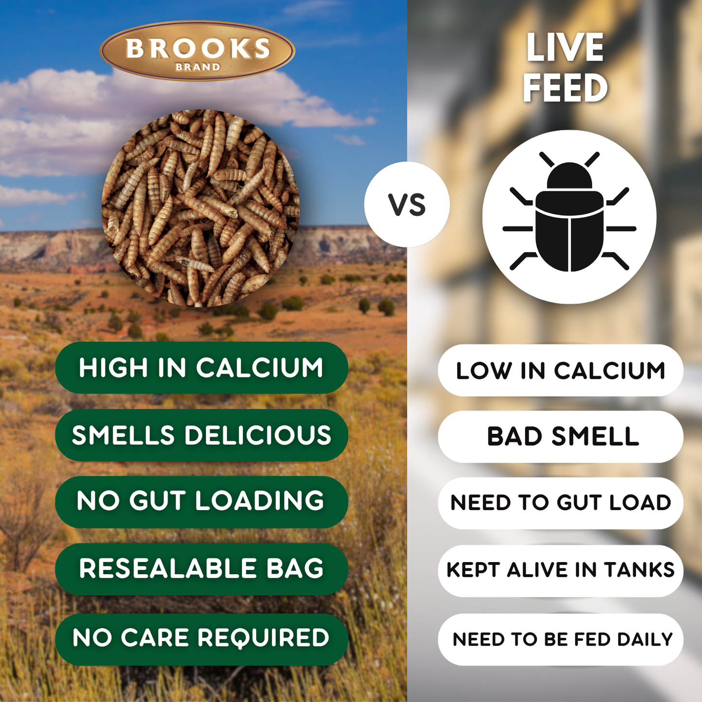 Brooks Brand BSFL for Reptiles - 1lb