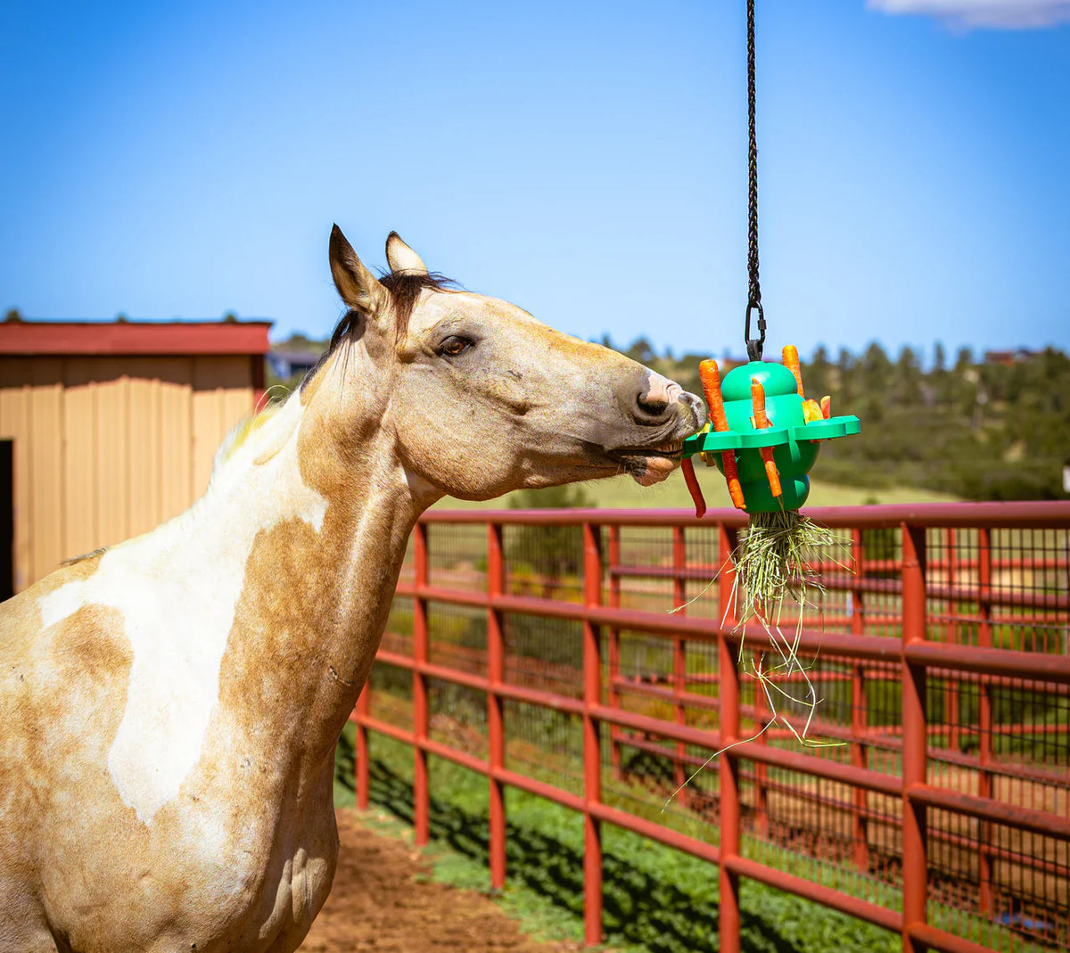 Clover Horse Toy