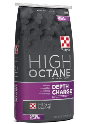 Purina High Octane Depth Charge 21B9 - 50lb