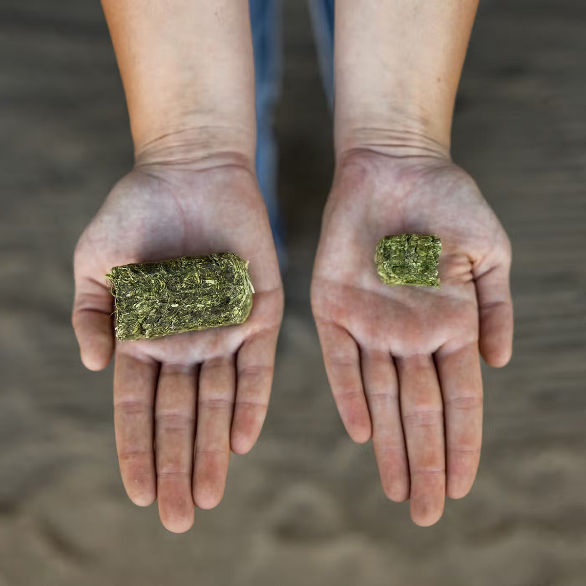 Timothy Grass Mini Cubes