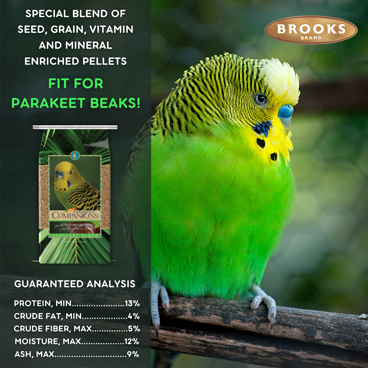 Colorful Companions Parakeet Blend - 25lb