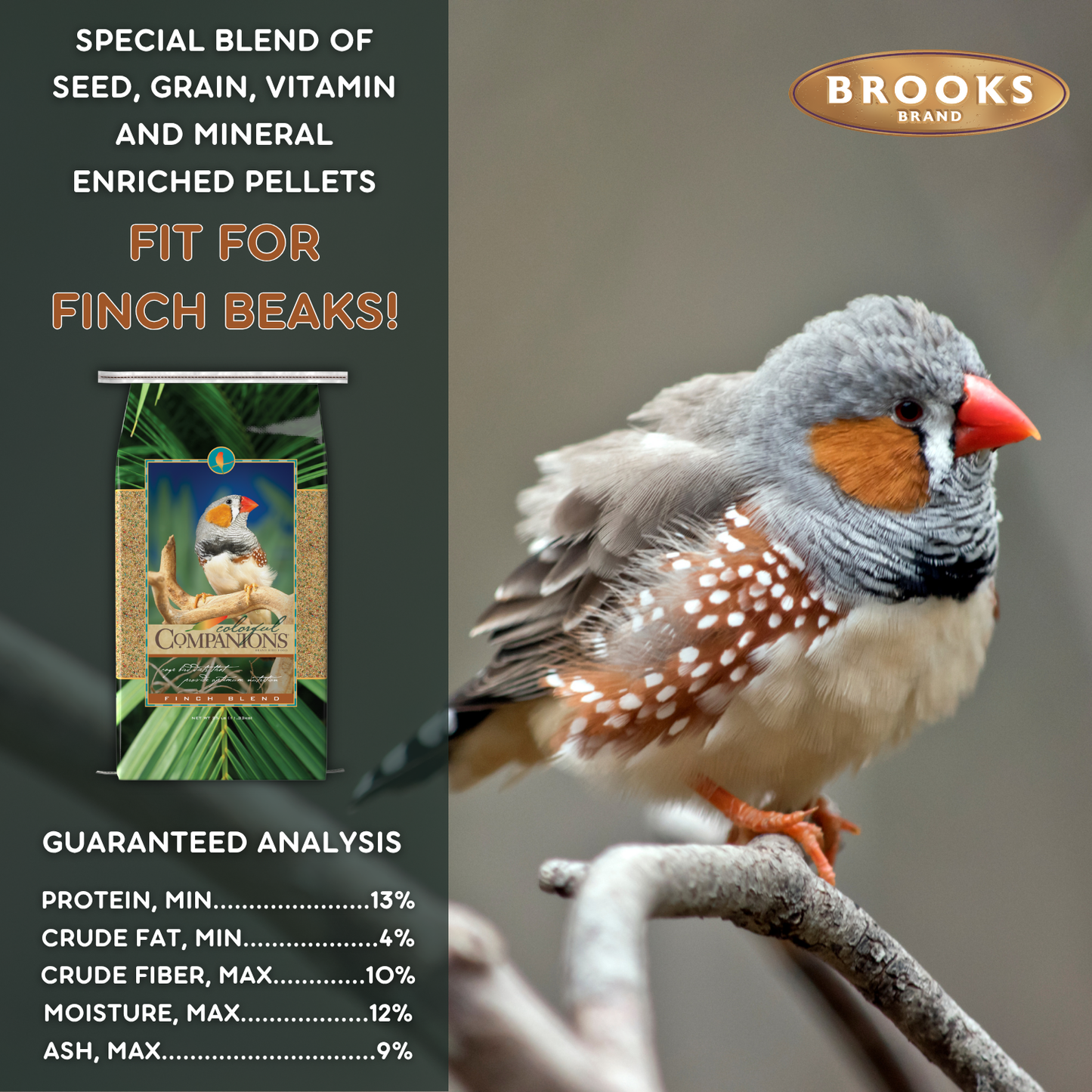 Colorful Companions Finch Blend - 25lb