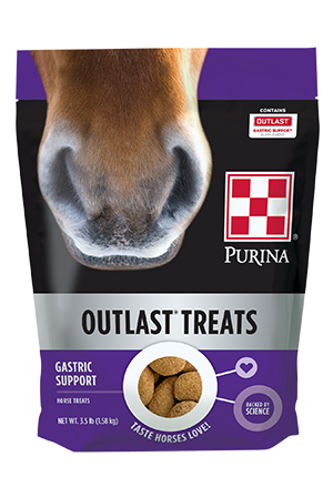 Purina Outlast Horse Treats 35UC - 21lb Case