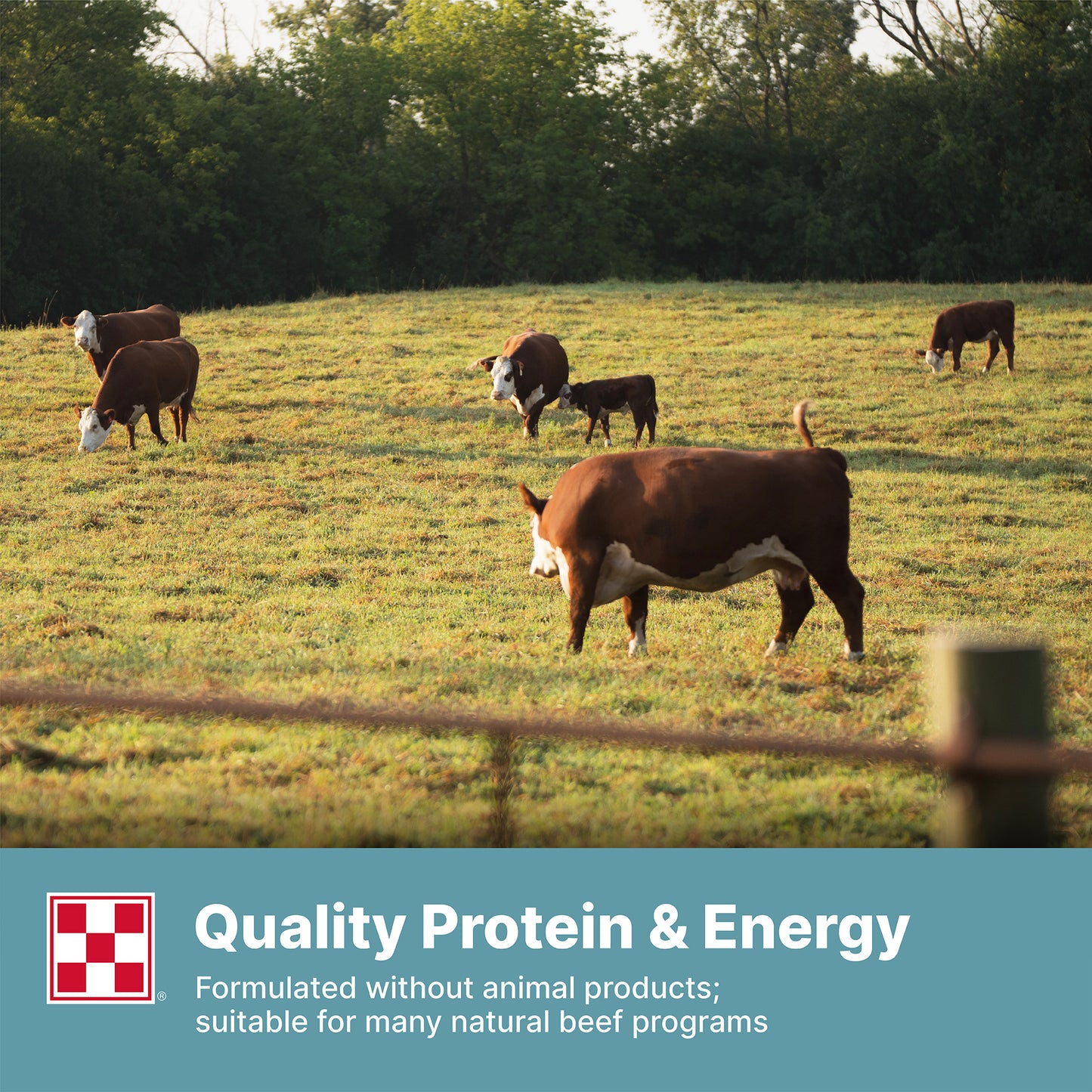 Purina Cattle Grower/Finisher 14 398W - 50lb