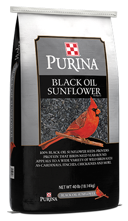 Purina Black Oil Sunflower Seeds 61X7 - 40lb
