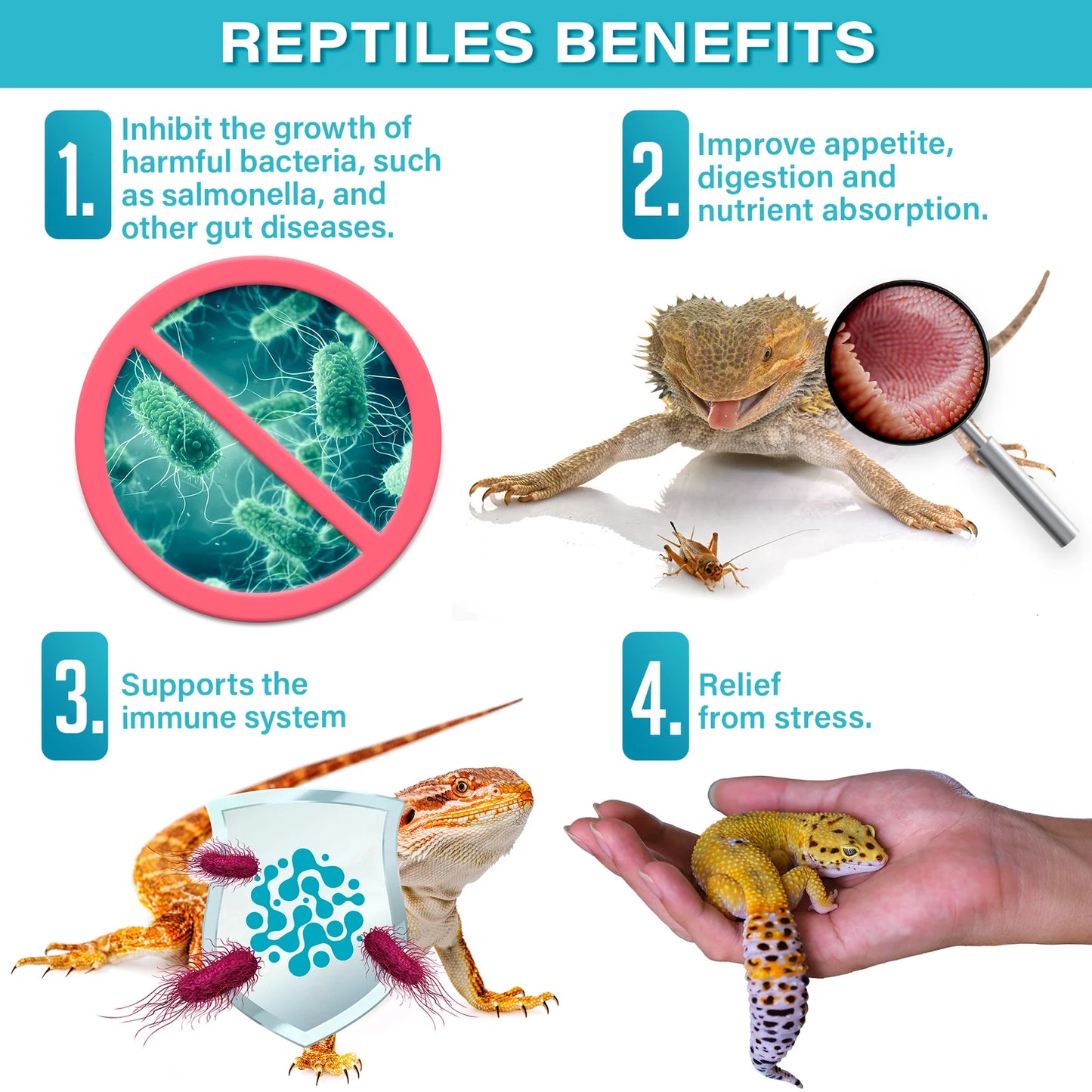 Gargeer Reptile Probiotics - 2oz