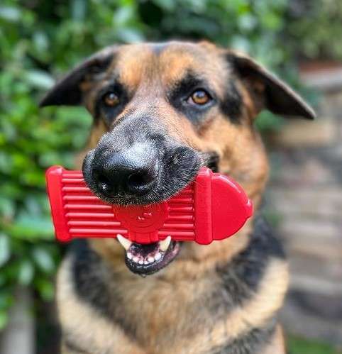 SimpleDog Hydrant (7″)