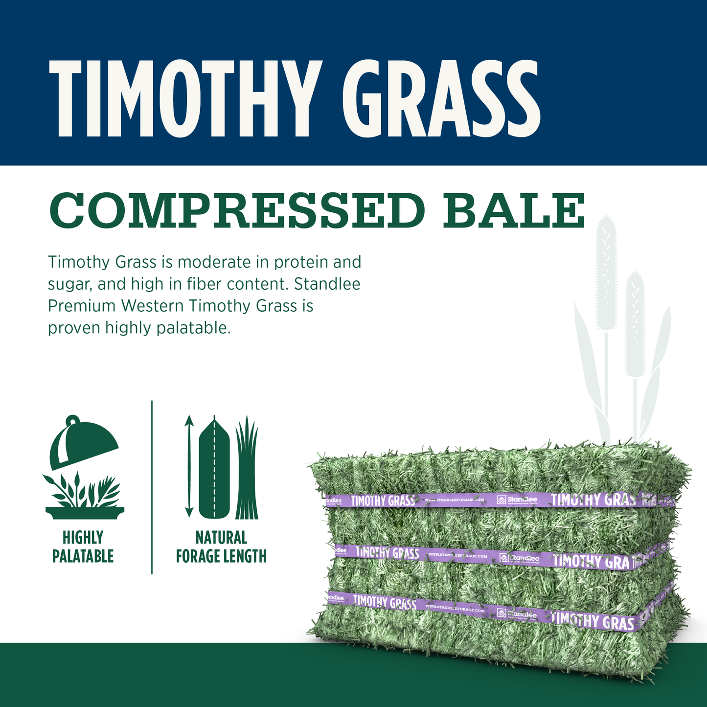 Certified Timothy Compressed Bale - 50lbs