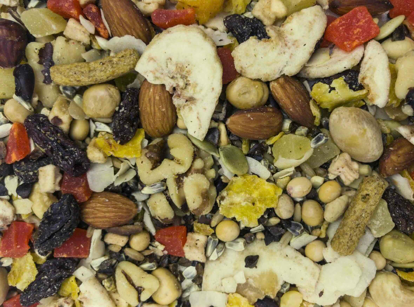 The Higgins Group Sunburst Treats Boca Nuts for Parrot/Macaw 20LB