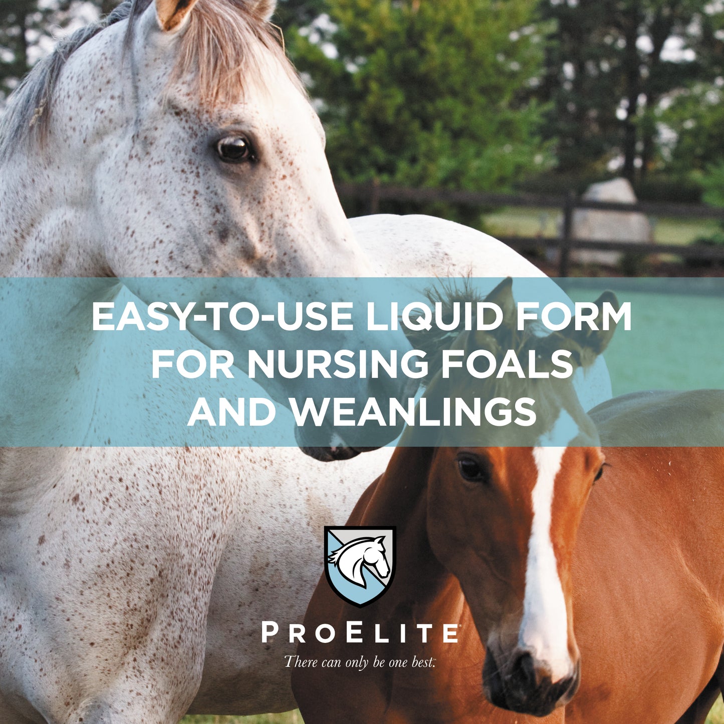 ProElite Rejuvenaide Max Liquid - 3lbs