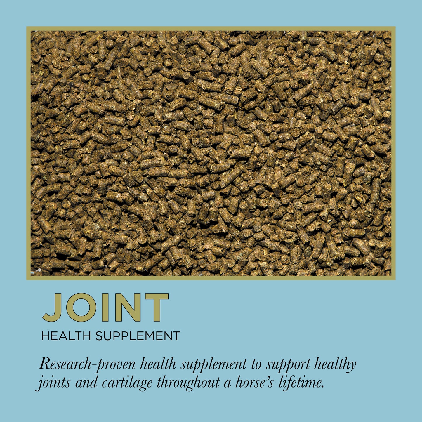 ProElite Joint - 3lbs