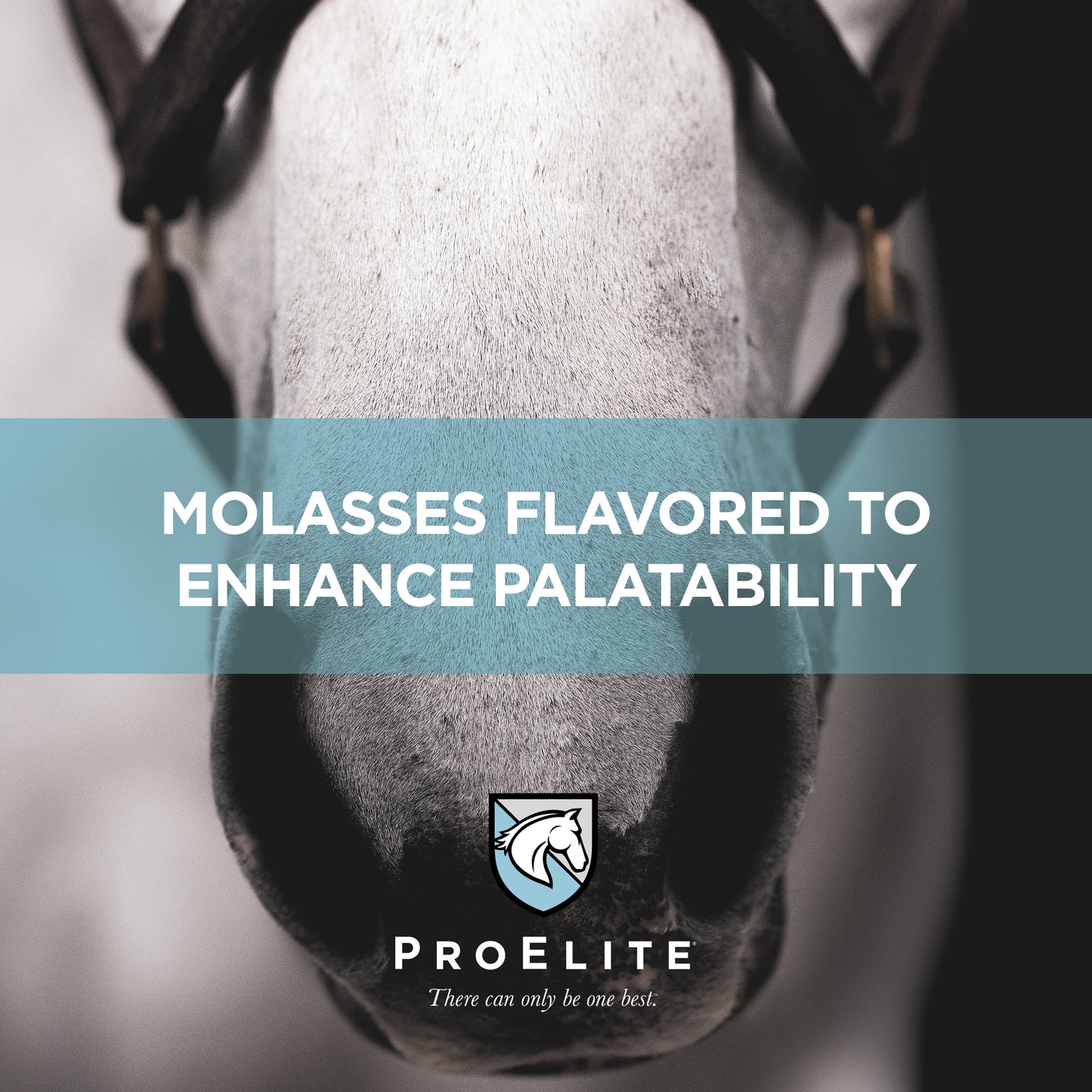 ProElite Rejuvenaide Max Liquid - 3lbs