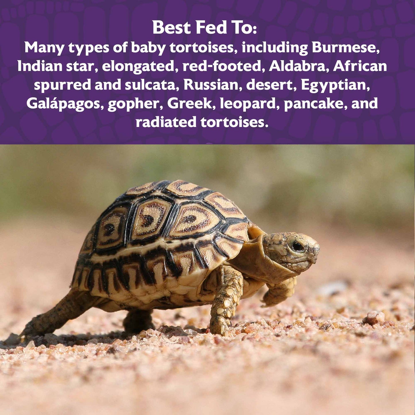 Mazuri Juvenile Tortoise Diet 5M3A - 8oz