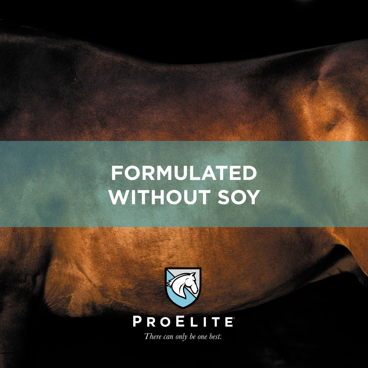 ProElite Elements - 4lbs