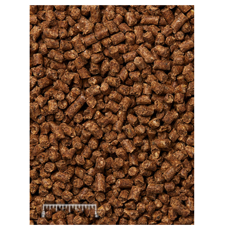 Mazuri Alpaca Complete Life 56SF