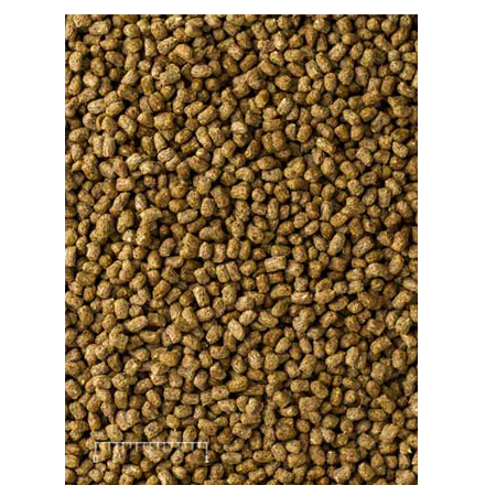 Mazuri Herbivorous Reptile Diet 5E5M - 25lb