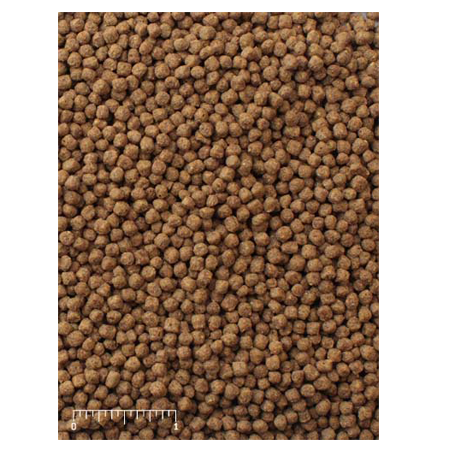 Mazuri Koi Platinum Bits 5M81 - 20lb