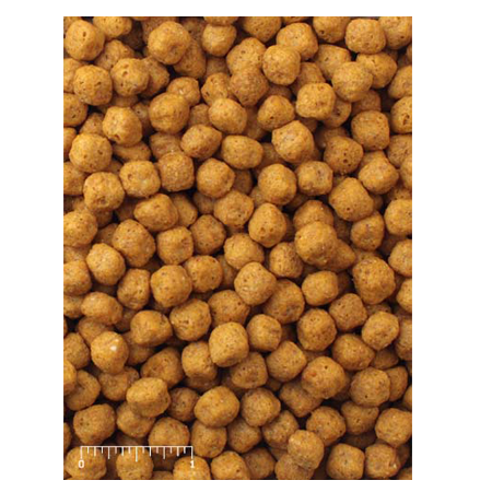 Mazuri Parrot Breeder 56A9 - 25lb