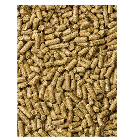 Mazuri Timothy-Based Guinea Pig Diet 5E6A - 5lb