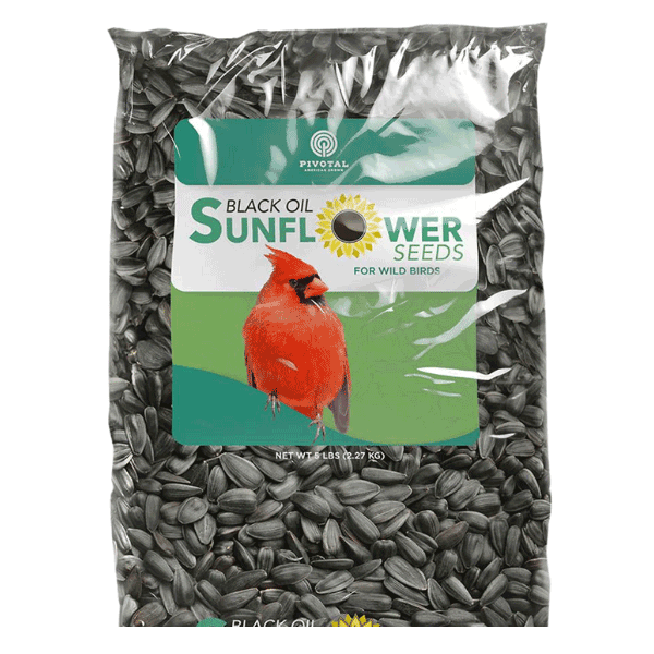 Black Oil Sunflower Seeds for attracting wild birds. 5-lb bag.