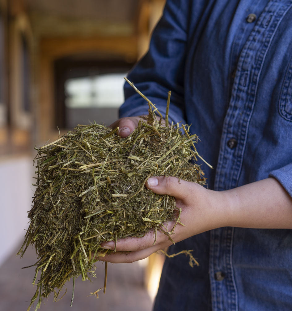 Triple Crown StressFree Forage - 40lb