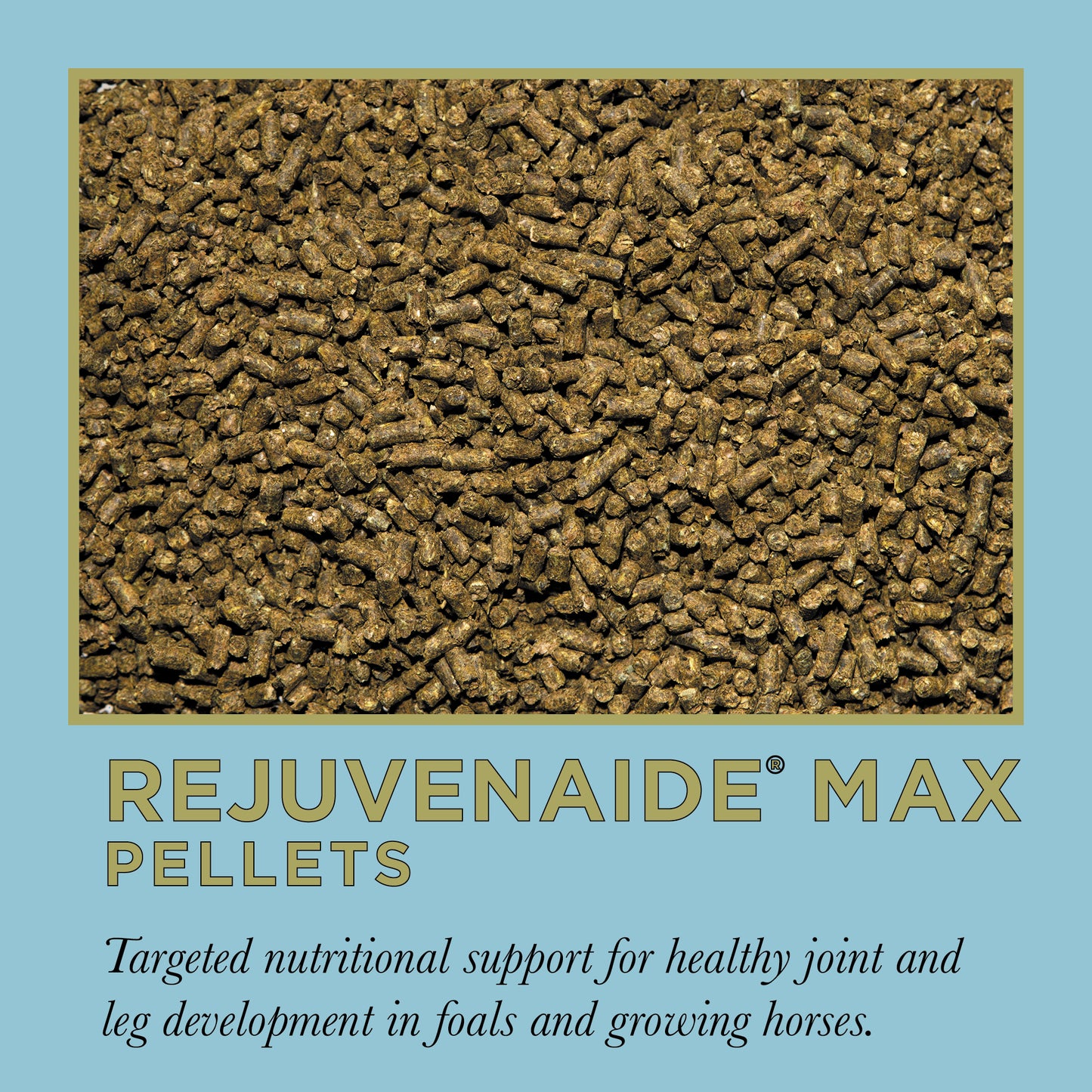 ProElite Rejuvenaide Max Pellet - 3lbs