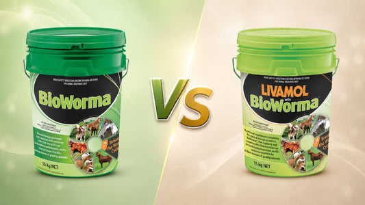 BioWorma vs. Livamol with BioWorma: Which One Do You Need?