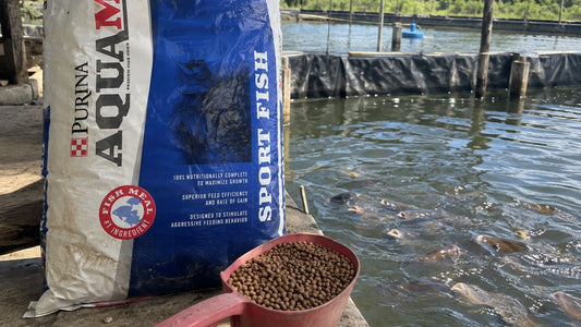 Purina AquaMax Guide: Choosing the Right Formula by Fish Species and Life Stage