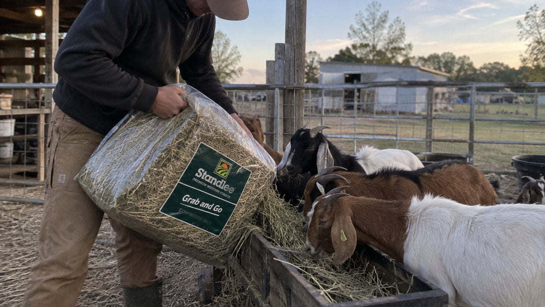 Standlee Forage for Exotic Hoofstock and Small Animals: A Buyer's Guide